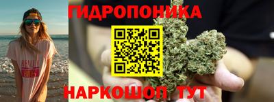прущие грибы Рязань