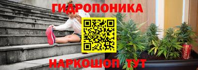 гидра Рыбинск
