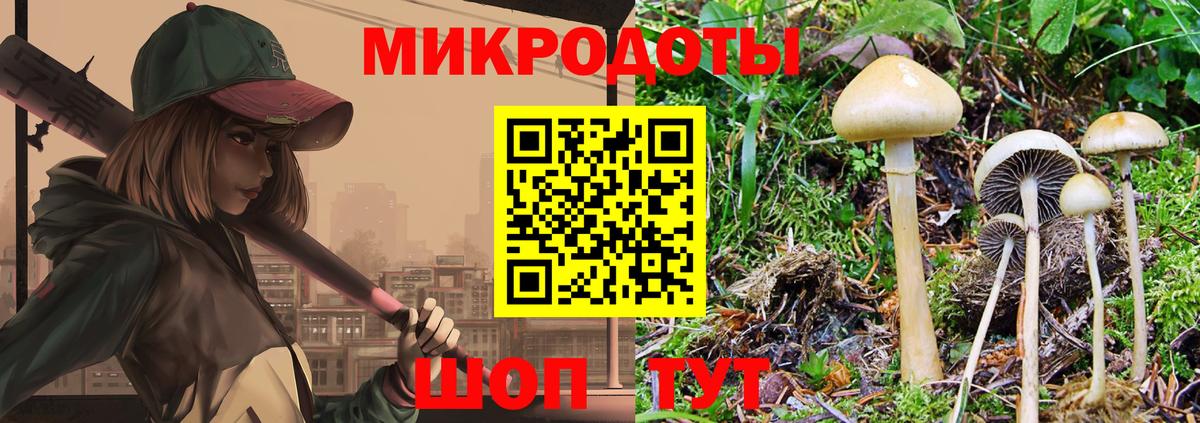 Псилоцибиновые грибы Psilocybine cubensis Полевской